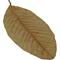 Show in main carousel: HydrOasis Guava Leaves Fish Plant, 10 count slide 4 of 9