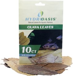 HydrOasis Guava Leaves Fish Plant, 10 count slide 1 of 9