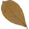Show in main carousel: HydrOasis Catappa Leaves Fish Plant, 10 count slide 4 of 9