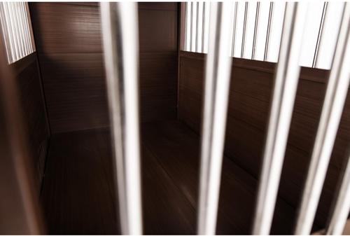 Show full view: New Age Pet ecoFLEX Single Door Furniture Style Dog Crate & End Table, Russet, 42 inch slide 6 of 13