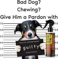 Zone Protects Don't Chew Dare Chewing Deterrent Dog Spray, 8-fl oz bottle slide 2 of 5