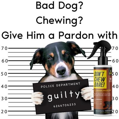 Show full view: Zone Protects Don't Chew Dare Chewing Deterrent Dog Spray, 8-fl oz bottle slide 4 of 6