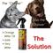 Show in main carousel: Zone Protects Don't Chew Dare Chewing Deterrent Dog Spray, 8-fl oz bottle slide 3 of 6