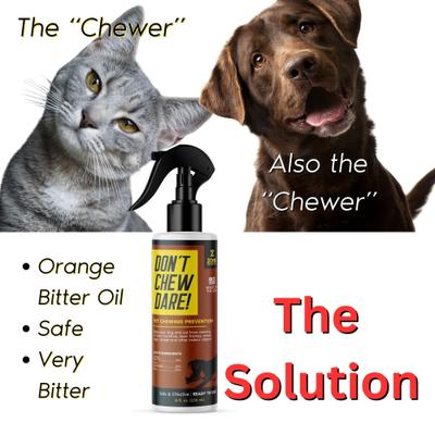 Show full view: Zone Protects Don't Chew Dare Chewing Deterrent Dog Spray, 8-fl oz bottle slide 3 of 6