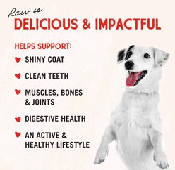 Stella & Chewy's Raw Coated Grass-Fed Lamb Recipe Grain-Free Dry Dog Food, 22-lb bag slide 2 of 9