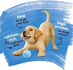 Purina Beneful Healthy Puppy with Farm Raised Chicken High Protein Dry Dog Food, 3.5-lb bag slide 2 of 9