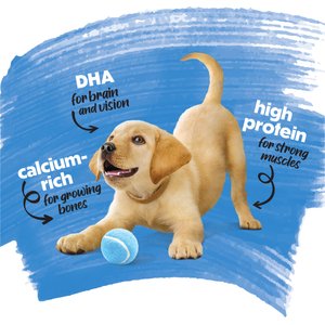 Purina Beneful Healthy Puppy with Farm Raised Chicken High Protein Dry Dog Food, 3.5-lb bag