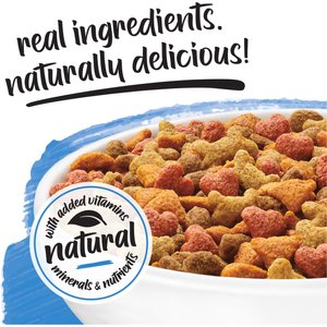 Purina Beneful Healthy Puppy with Farm Raised Chicken High Protein Dry Dog Food, 3.5-lb bag