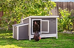 New Age Pet ECOFLEX Fontana Premier Chicken Barn
