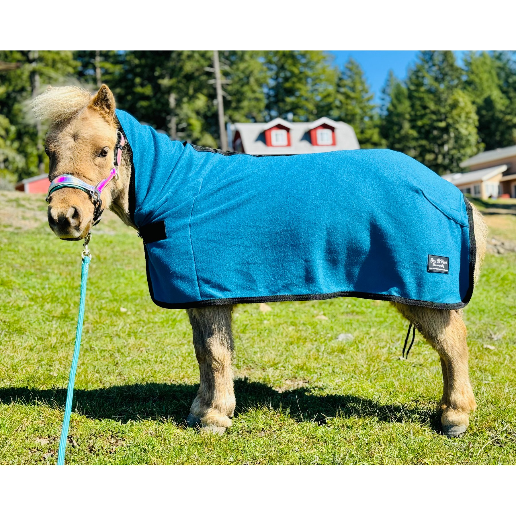 Star Point Horsemanship Hooded Fleece Horse Cooler Combo, Teal, 42 to 46-in