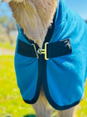 Show full view: Star Point Horsemanship Hooded Fleece Horse Cooler Combo, Teal, 50 to 54-in slide 3 of 4