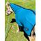 Show in main carousel: Star Point Horsemanship Hooded Fleece Horse Cooler Combo, Teal, 50 to 54-in slide 2 of 4