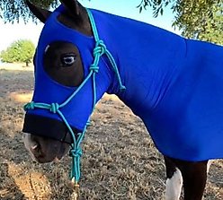 Star Point Horsemanship Mini-Pony Lycra Body Suits, Royal, Large: 37 to 40-in Pony