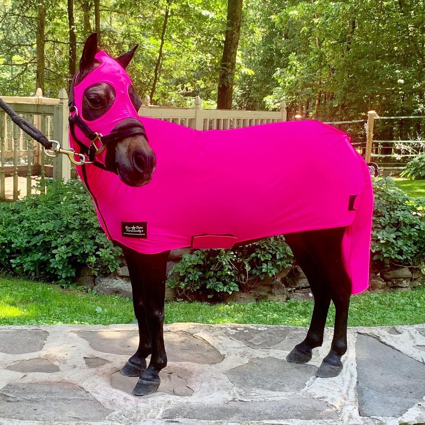Star Point Horsemanship Mini-Pony Lycra Body Suits, Hot Pink, X-Large: 40 to 52-in