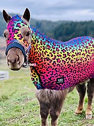 Star Point Horsemanship Miniature Horse-Pony Lycra Printed Body Suits, Rainbow Cheetah, Medium: 32 to 36-in