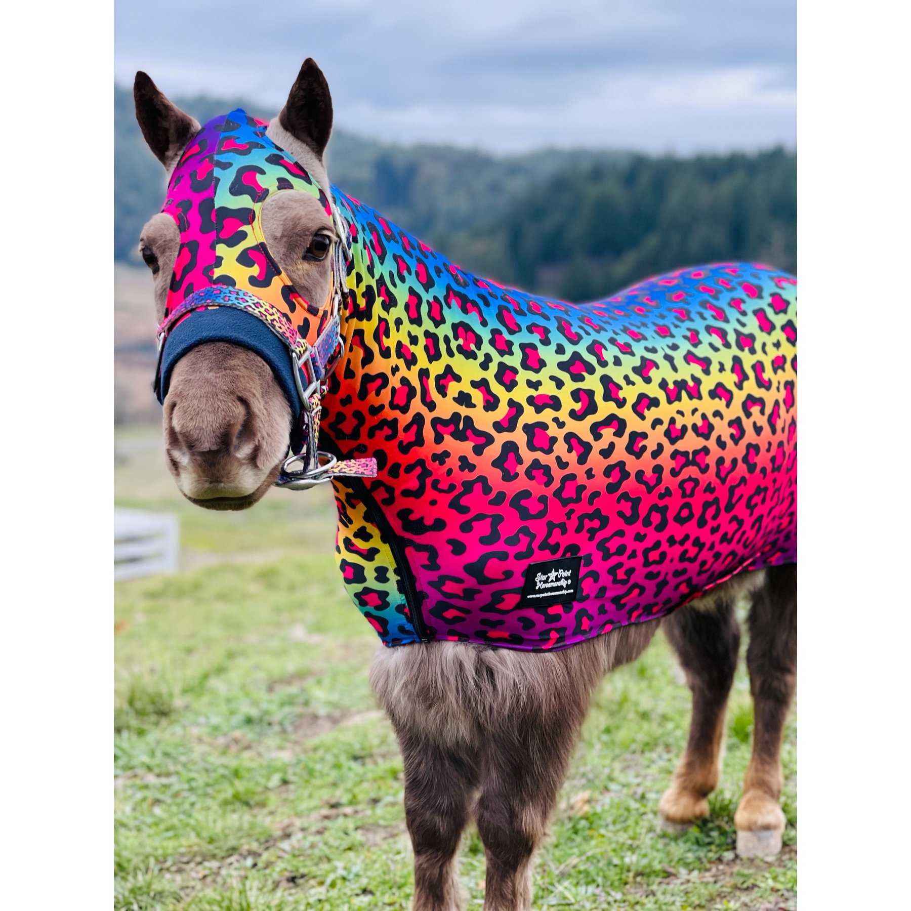 Star Point Horsemanship Miniature Horse-Pony Lycra Printed Body Suits, Rainbow Cheetah, Medium: 32 to 36-in