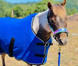 Star Point Horsemanship Miniature Horse-Pony Fleece Cooler/Blanket Liner, Royal Blue, 38 to 40-in slide 2 of 2