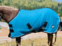 Star Point Horsemanship Miniature Horse-Pony Fleece Cooler/Blanket Liner, Teal, 50 to 52-in