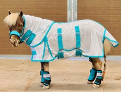 Star Point Horsemanship Miniature Horse-Pony Hooded Bellyband UV Fly Sheet, Teal, 48 to 50-in