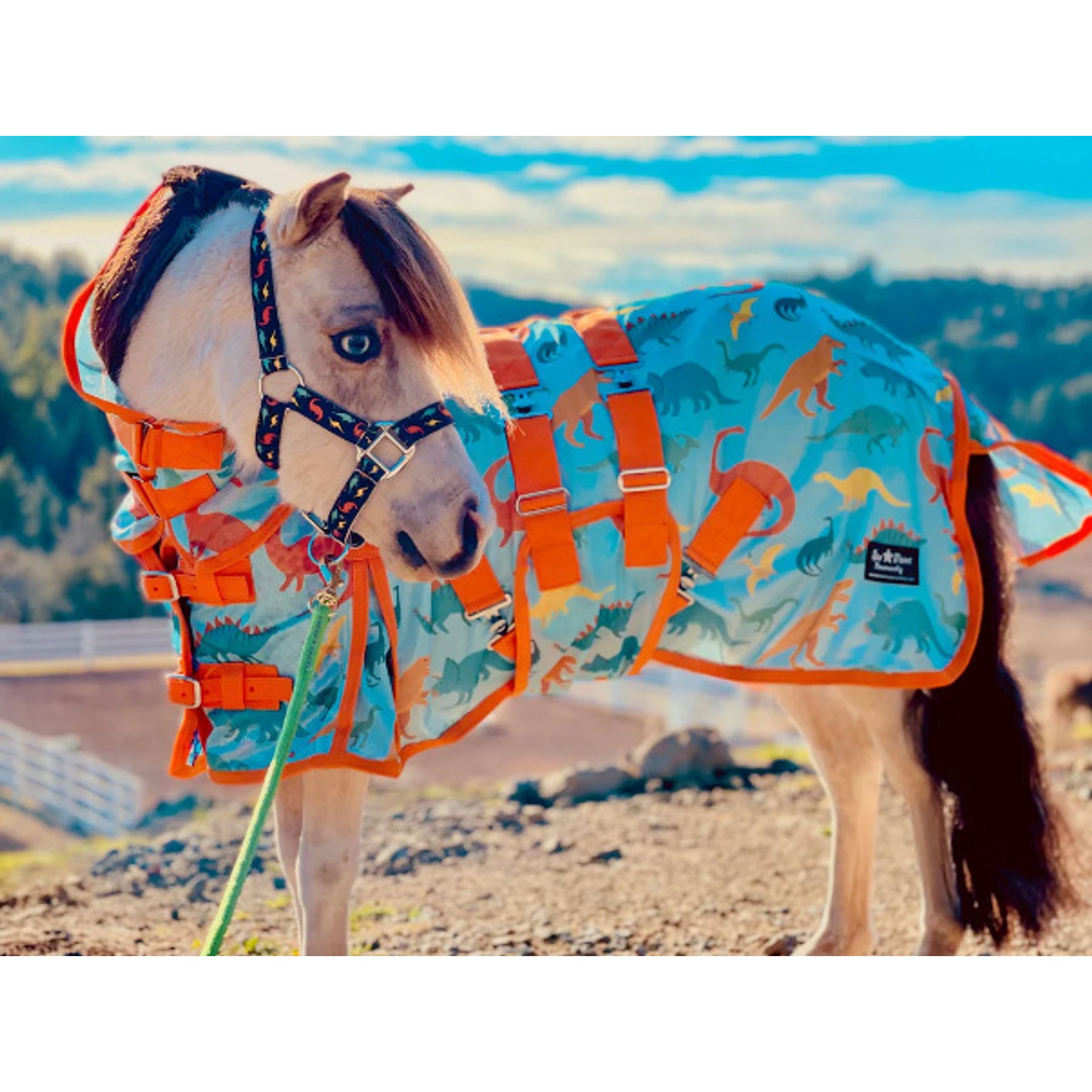 Star Point Horsemanship Hooded Printed Mesh UV Horse Fly Sheet, Dinosaur, 42 to 44-in