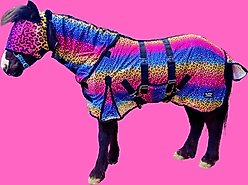 Star Point Horsemanship Hooded Printed Mesh UV Horse Fly Sheet, Rainbow Cheetah, 74 to 76-in slide 2 of 2