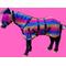 Show in main carousel: Star Point Horsemanship Hooded Printed Mesh UV Horse Fly Sheet, Rainbow Cheetah, 50 to 52-in slide 2 of 2