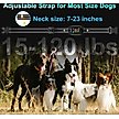 Show in main carousel: PATPET No Shock Smart Bark Control Dog Bark Collar slide 6 of 8