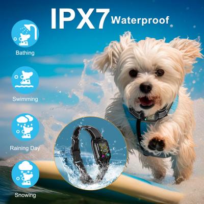 Show full view: PATPET No Shock Smart Bark Control Dog Bark Collar slide 4 of 8