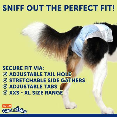Show full view: Hartz Comfitables Male & Female Dog Diapers, Medium: 15 to 22-in waist, 32 count slide 6 of 12