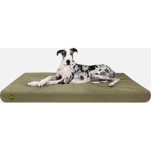 Discontinued - KATE SPADE NEW YORK Adventure Stripe Bolster Dog
