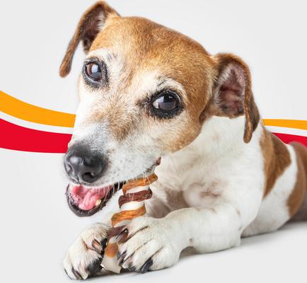 Show full view: Good 'n' Fun Triple Flavor Chicken, Bacon & Beef Dog Treat Chew Crunch Rolls, 5 count slide 7 of 11