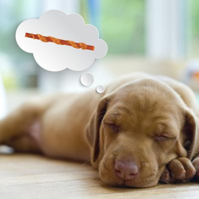 Show full view: DreamBone Twists Wrapped with Chicken Real Sirloin Rawhide Free Dog Chews, 15 count slide 8 of 11