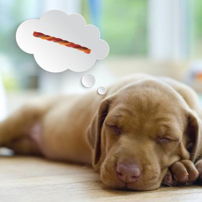 Show full view: DreamBone Triple Flavor Twisties Real Beef, Pork & Chicken Rawhide Free Dog Chews, 25 count slide 8 of 11