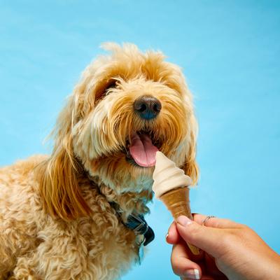 Show full view: Pup Ice Waffle Cone Vanilla & Peanut Butter Dog Chew Treat, 2 count slide 6 of 6