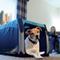Show in main carousel: Bergan Collapsible Soft-Sided Dog Crate, Heathered Grey/Blue, 30-inch slide 5 of 9