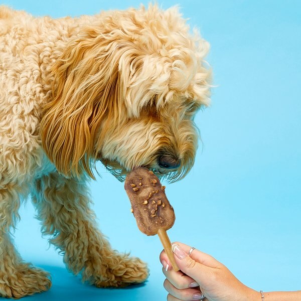 Pup Ice Choccy Lollies Peanut Butter & Chocolate Dog Chew Treat