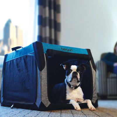 Show full view: Bergan Collapsible Soft-Sided Dog Crate, Heathered Grey/Blue, 30-inch slide 6 of 9