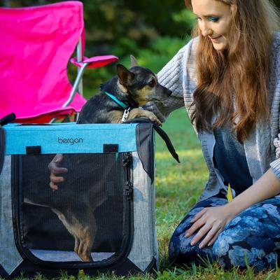 Show full view: Bergan Collapsible Soft-Sided Dog Crate, Heathered Grey/Blue, 30-inch slide 3 of 9