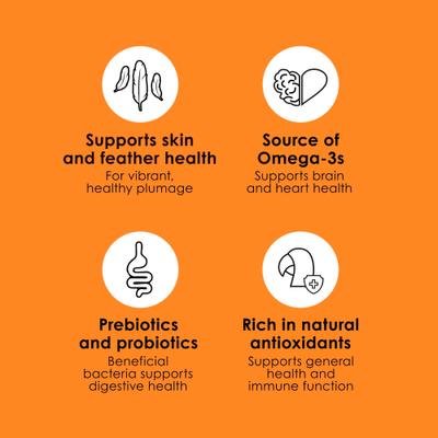 Show full view: Kaytee Fiesta Variety Mix Macaw Food, 25-lb bag slide 5 of 11