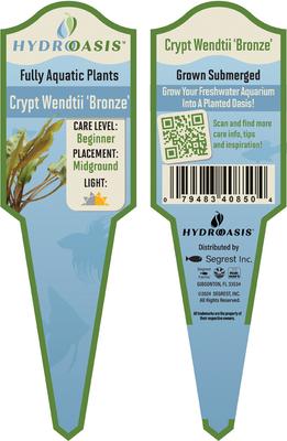 Show full view: HydrOasis Crypt Wendtii 'Bronze' Submerged Potted Reg Fish Plant slide 3 of 3