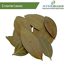 HydrOasis Betta Bundle Fish Plant slide 2 of 7