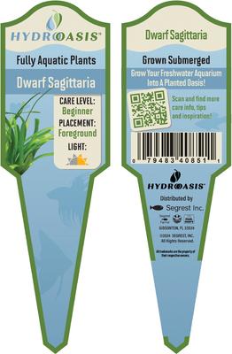 Show full view: HydrOasis Crypt Wendtii Bronze Submerged Potted Reg Fish Plant, 3 count slide 4 of 4