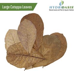 HydrOasis Discus Bundle Fish Plant slide 2 of 7