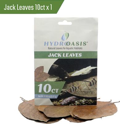 Show full view: HydrOasis Jungle Water Bundle Fish Plant slide 4 of 9