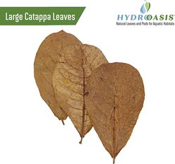 HydrOasis Jungle Water Bundle Fish Plant slide 2 of 9
