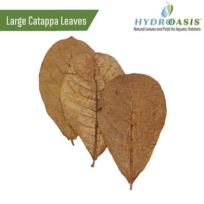 Show full view: HydrOasis Jungle Water Bundle Fish Plant slide 9 of 9