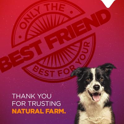 Show full view: Natural Farm Hybrid Braided Collagen & Bully Dog Chews, 12-in, 14 count slide 3 of 7