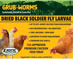 Exotic Nutrition Grub-Worms Chicken Feed, 20-lb bag slide 2 of 9