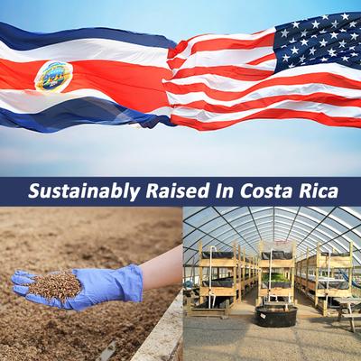 Show full view: Exotic Nutrition Grub-Worms Chicken Feed, 20-lb bag slide 3 of 9