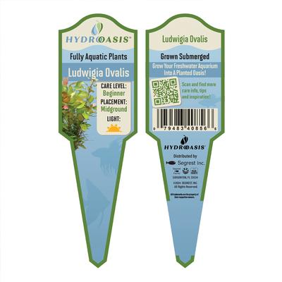 Show full view: HydrOasis Ludwigia Ovalis Submerged Potted Reg Fish Plant, 3 count slide 4 of 5